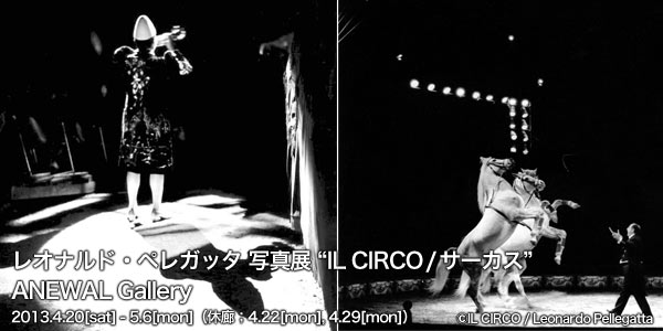 쥪ʥɡڥ쥬å ̿Ÿ IL CIRCO   ANEWAL Gallery ˥奢륮꡼